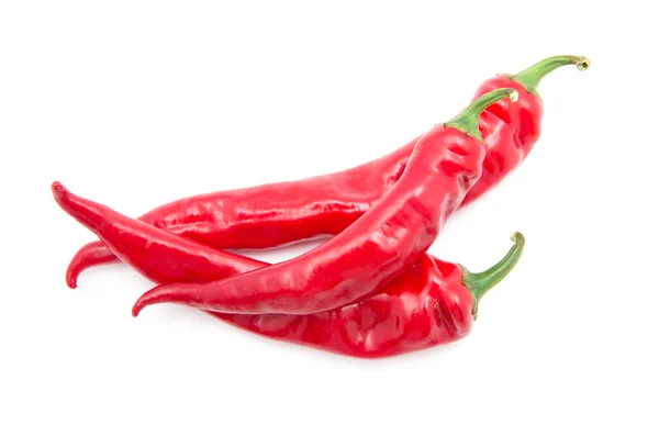 Red Hot chilli papričky — Stock fotografie