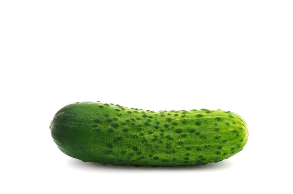 Fresh green cucumber — Stock Photo, Image