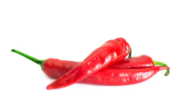 Červená chilli paprika — Stock fotografie