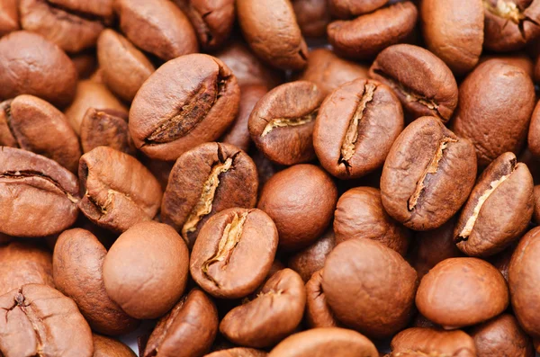 Brown coffee beans — Stock Photo, Image