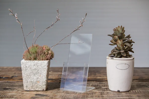 Akrilik broşür ve kart tutucu. Eski bir çiçek saksısı. Beyaz arkaplan ile ahşap bir tablo üzerinde şeffaf nesne.