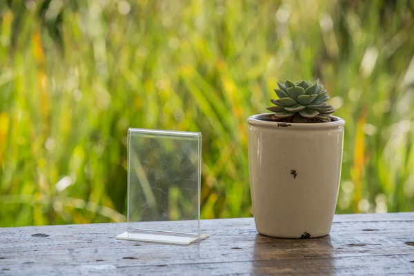 Akrilik broşür ve kart sahibi olaylar vintage bir saksıyı net için. Yeşil bahçe arka plan şeffaf nesne.