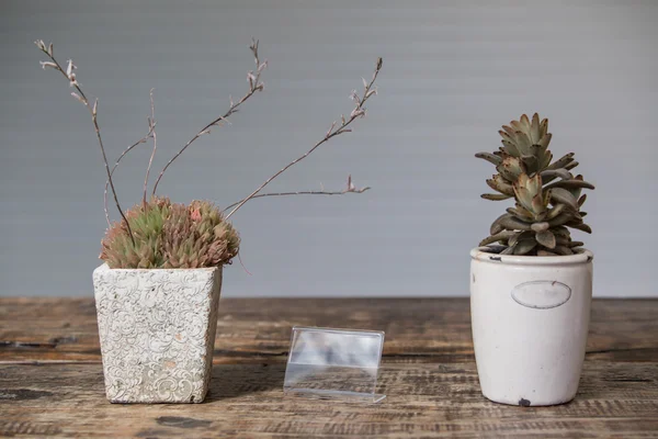 Acryl brochure en kaarthouder voor evenementen net om een vintage bloempot. Transparant object over een houten tafel met witte ondergrond. Stockfoto