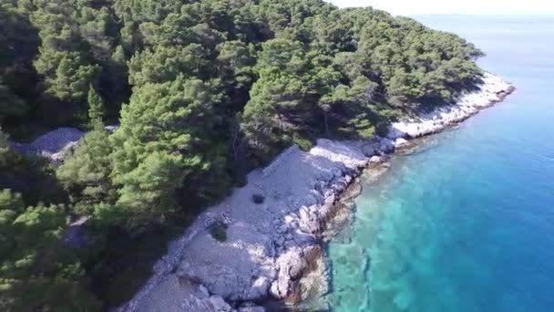 岩の多い海岸の光景。カメラは海岸線にパラレルを移動します. — ストック動画