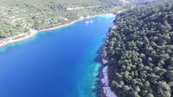 Aerea, panoramica, scena che attraversa la costa rocciosa . — Video Stock