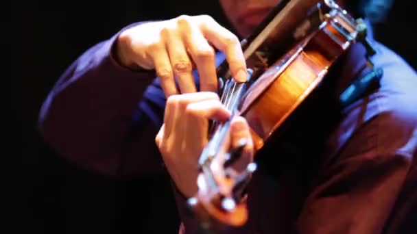 Musiker spielt Geige bei einem Konzert. — Stockvideo