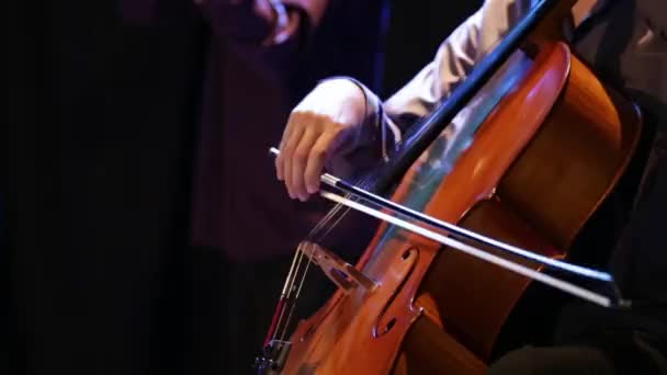 Músico tocando violoncelo em um concerto . — Vídeo de Stock