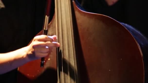 Músico tocando violoncelo em um concerto . — Vídeo de Stock