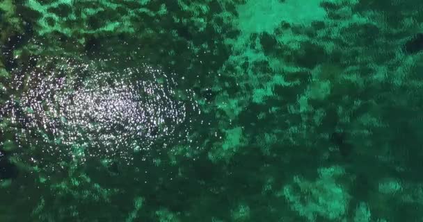 Scène aérienne de drone de côte rocheuse transparente à Croatie. Île vierge .