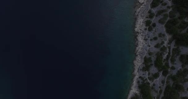 Konsistens av kust, strand, vatten och vegetation. Drönare flyttar åt sidan långsamt. — Stockvideo