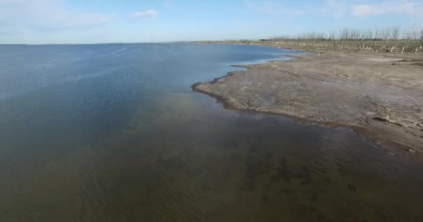 Flyg bordunen scen av flamländska flockar flyger över en sjö på epecuen, buenos aires argentina. Kameran går framåt snabbt. 4 k film video. — Stockvideo