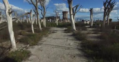 Doğal felaket tarafından yok edilen şehrin dron sahne.