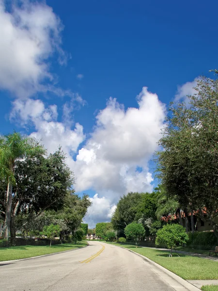 Calle residencial vacía en los suburbios de Florida — Foto de Stock