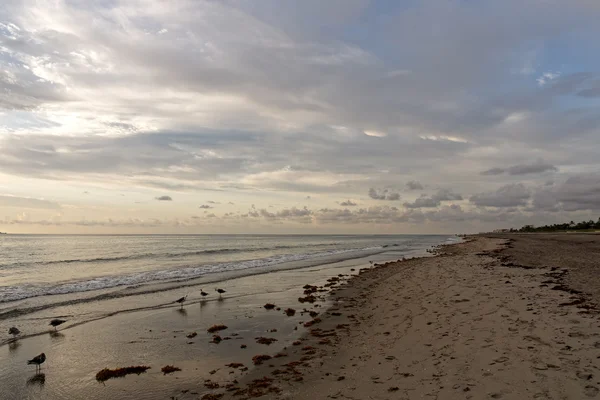 Gouden ochtend licht op strand — Stockfoto