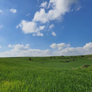 Kıbrıs adasının Larnaca ilçesindeki Athienou bölgesinde bahar zamanı