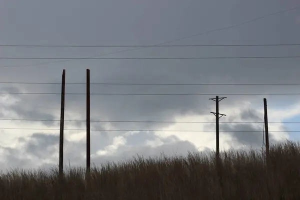Kıbrıs 'ın kırsal kesimlerinde elektrik direkleri