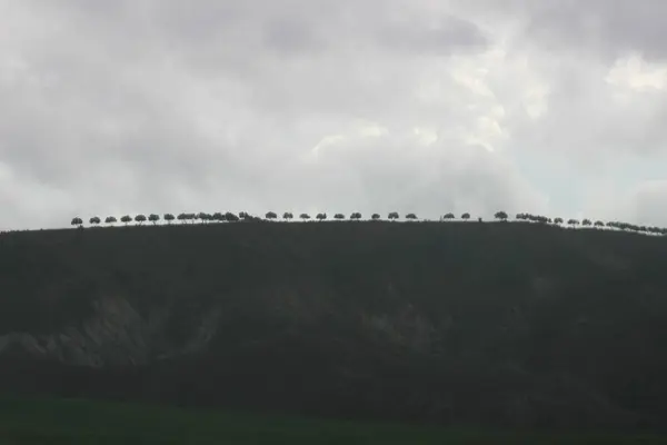 Episkopio, köy, Lefkoşe, Kıbrıs, bulutlu, gün, yeşil, tepe, ağaçlar