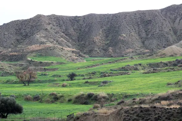 Kıbrıs Rum Kesimi 'nin Lefkoşe ilçesindeki Episkopio köyü