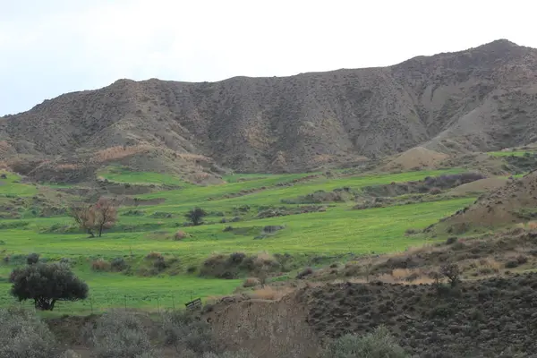 Kıbrıs Rum Kesimi 'nin Lefkoşe ilçesindeki Episkopio köyü