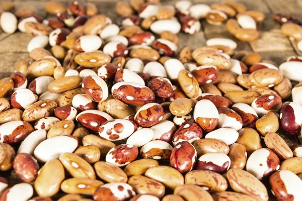 Assortment of beans. — Stock Photo, Image