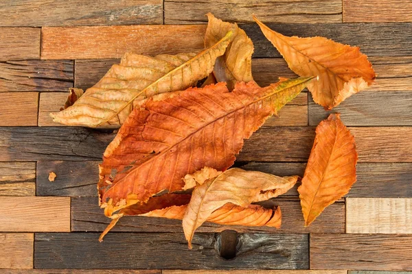 Herfst bladeren op houten achtergrond. — Stockfoto