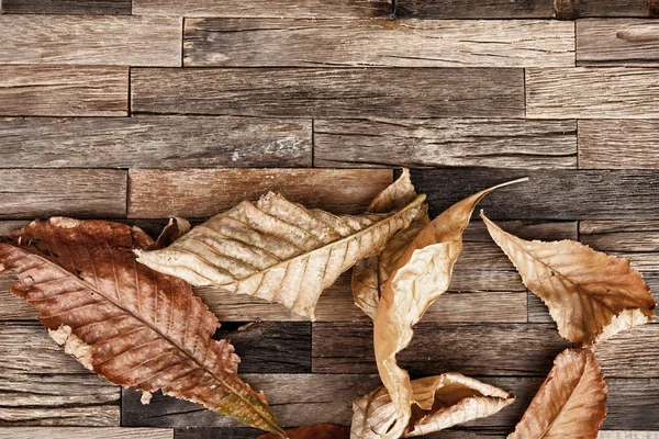 Herfst bladeren op houten achtergrond. — Stockfoto