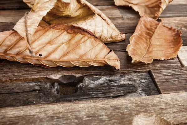 Foglie autunnali su fondo di legno. — Foto Stock