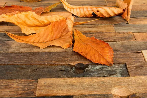 Herfst bladeren op houten achtergrond. — Stockfoto