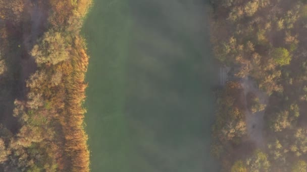 Туманная Река Дорога Драматическая Необычная Сцена Осенний Пейзаж Вид Воздуха — стоковое видео