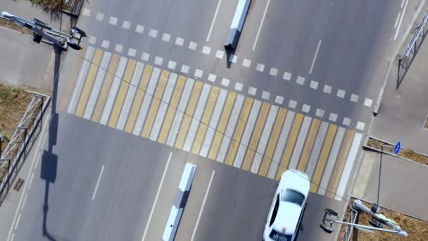 Vista Aérea Cruzamento Pedestres Com Semáforo Calçada Pedestre Zebra — Vídeo de Stock