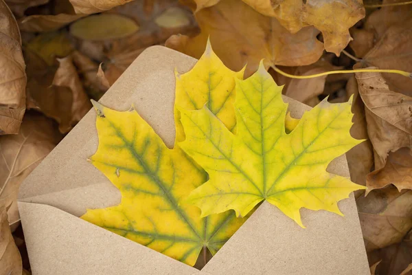 Bruine Ambachtelijke Envelop Met Appelbladeren Herfstbladeren Achtergrond Kleurrijke Backround Afbeelding — Stockfoto