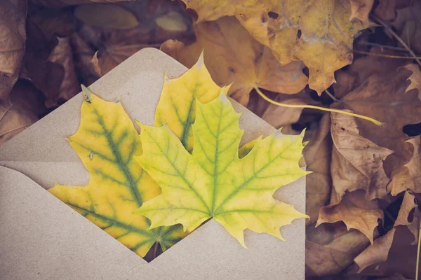 Bruine Ambachtelijke Envelop Met Appelbladeren Herfstbladeren Achtergrond Kleurrijke Backround Afbeelding — Stockfoto