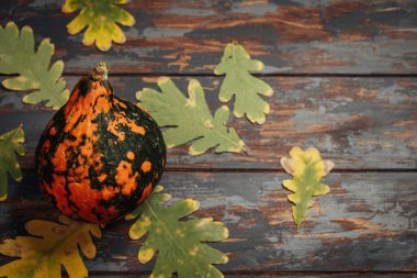 Sonbahar arkaplanında bitkisel yapraklı balkabağı. Kurumuş yapraklar ve balkabağından yapılmış Cadılar Bayramı kompozisyonu.