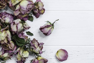 Ahşap yüzeyde kurumuş gül tomurcukları. Koku kavramında kuru gül.