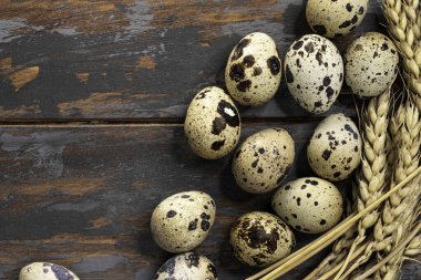 Tahta zemin üzerinde buğday konileri olan bıldırcın yumurtası. Üst görünüm.