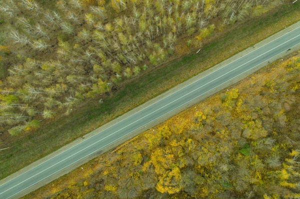 Road Autumn Forest Aerial View Rural Road — Stock Photo, Image