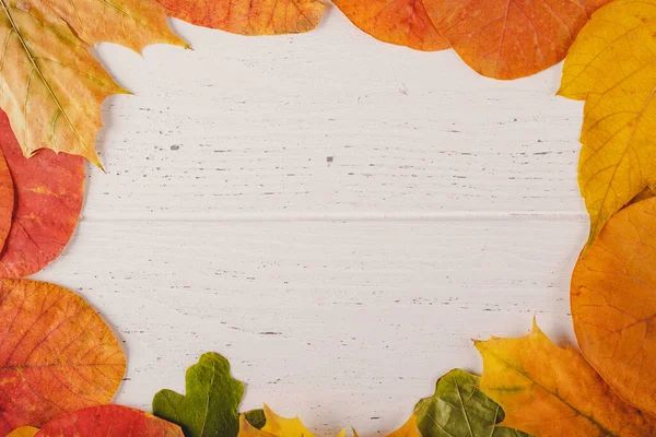 Herfst Vallende Bladeren Houten Achtergrond Kleurrijke Heldere Achtergrond Bovenaanzicht — Stockfoto
