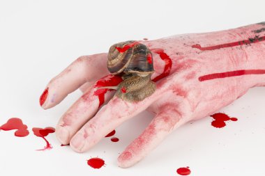 Plastic bloody hand and snail.