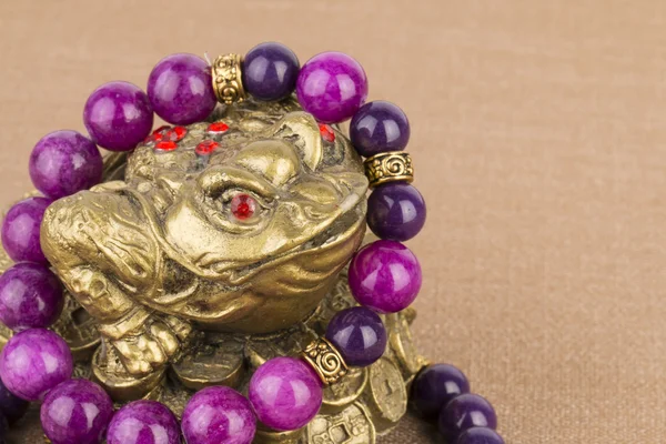 Beads jewelry and money frog. — Stockfoto