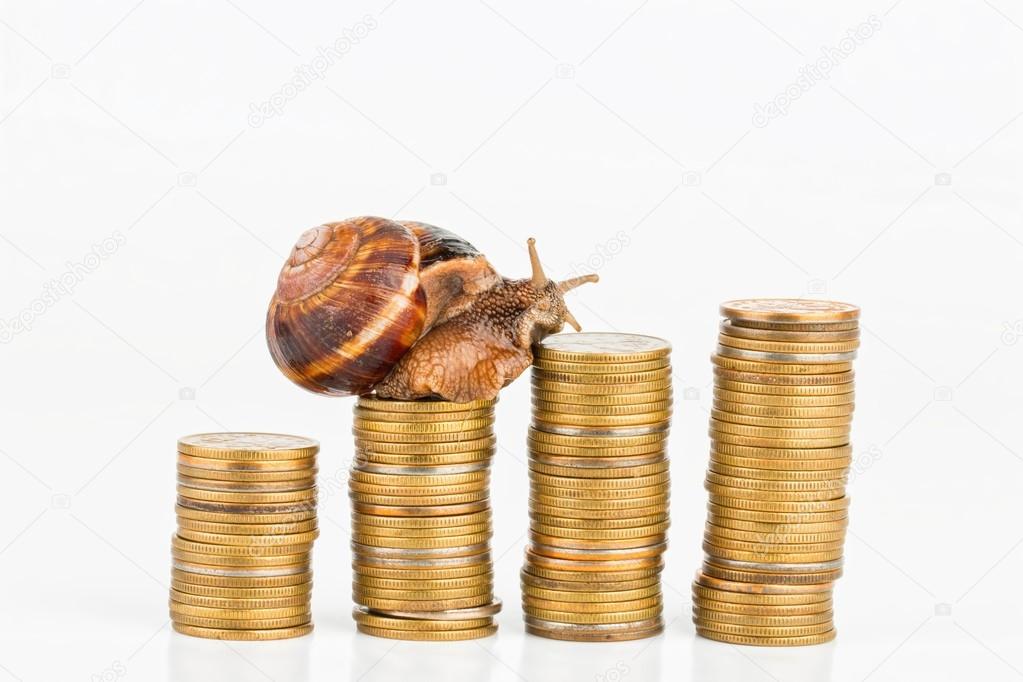 Coins and snail.