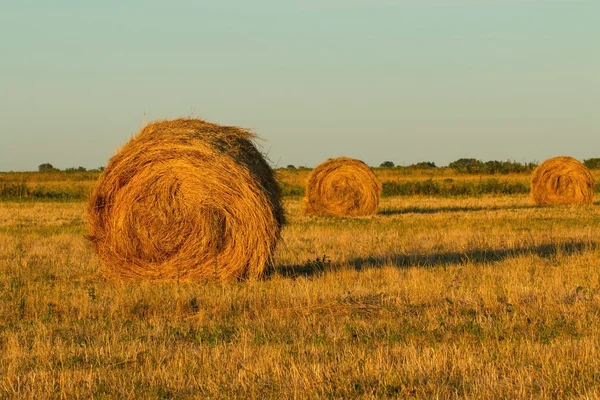 Pile di paglia . — Foto Stock