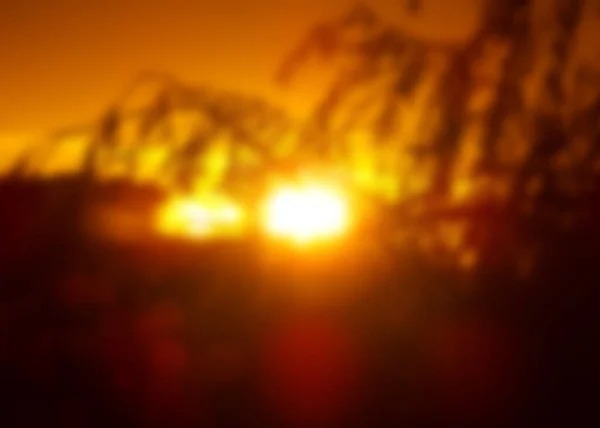 Imagen Desenfocada Árboles Sobre Fondo Del Atardecer Con Efecto Bokeh — Foto de Stock