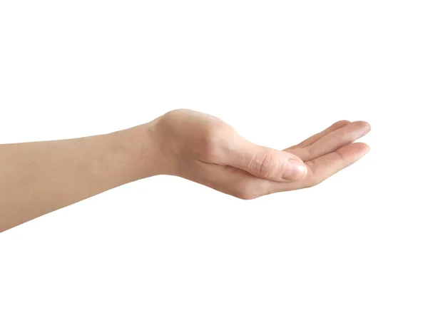 Öppna Kvinnliga Handen Palm Upp Isolerad Vit Bakgrund — Stockfoto