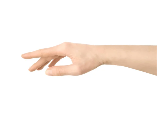 Female Hand Reaches Something Points Something Isolated White Background — Stock Photo, Image