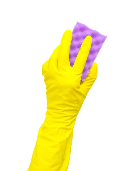 手拿着一只黄色的橡胶手套 上面有紫色的清洁海绵 用白色的衬底隔开 — 图库照片