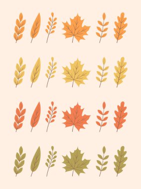 Farklı renkte sonbahar yaprakları. Düz vektör illüstrasyonu