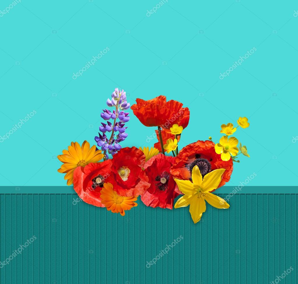 Fleur Jaune Orange Et Rouge Sur La Clôture Verte Les