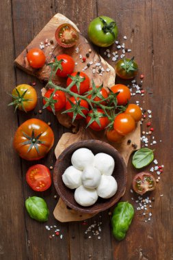 İtalyan ingridients caprese salatası için