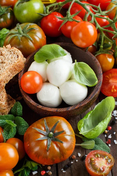 İtalyan ingridients caprese salatası için