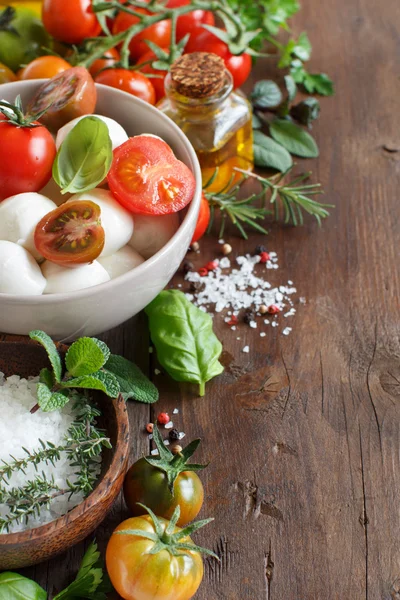 İtalyan ingridients caprese salatası için 